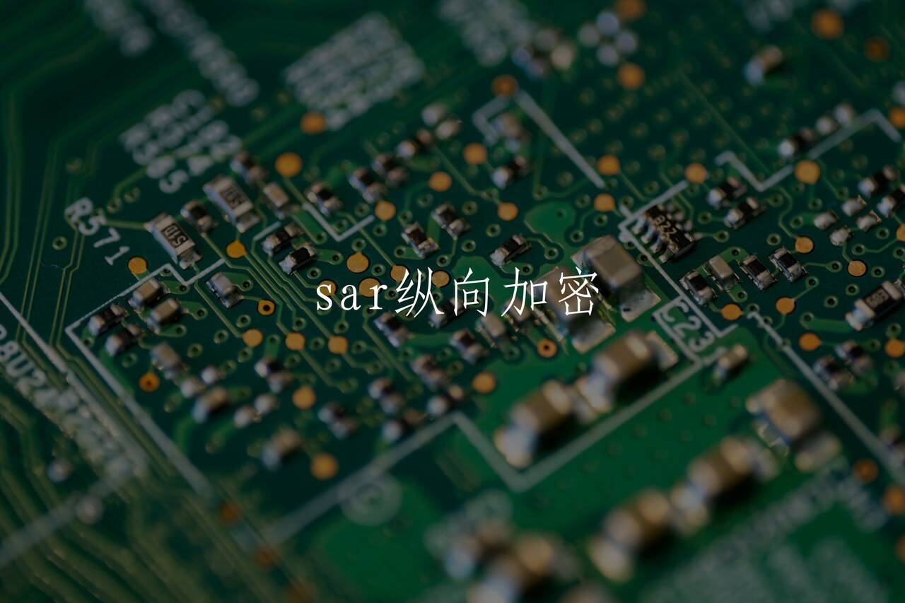 sar纵向加密 核心概念图