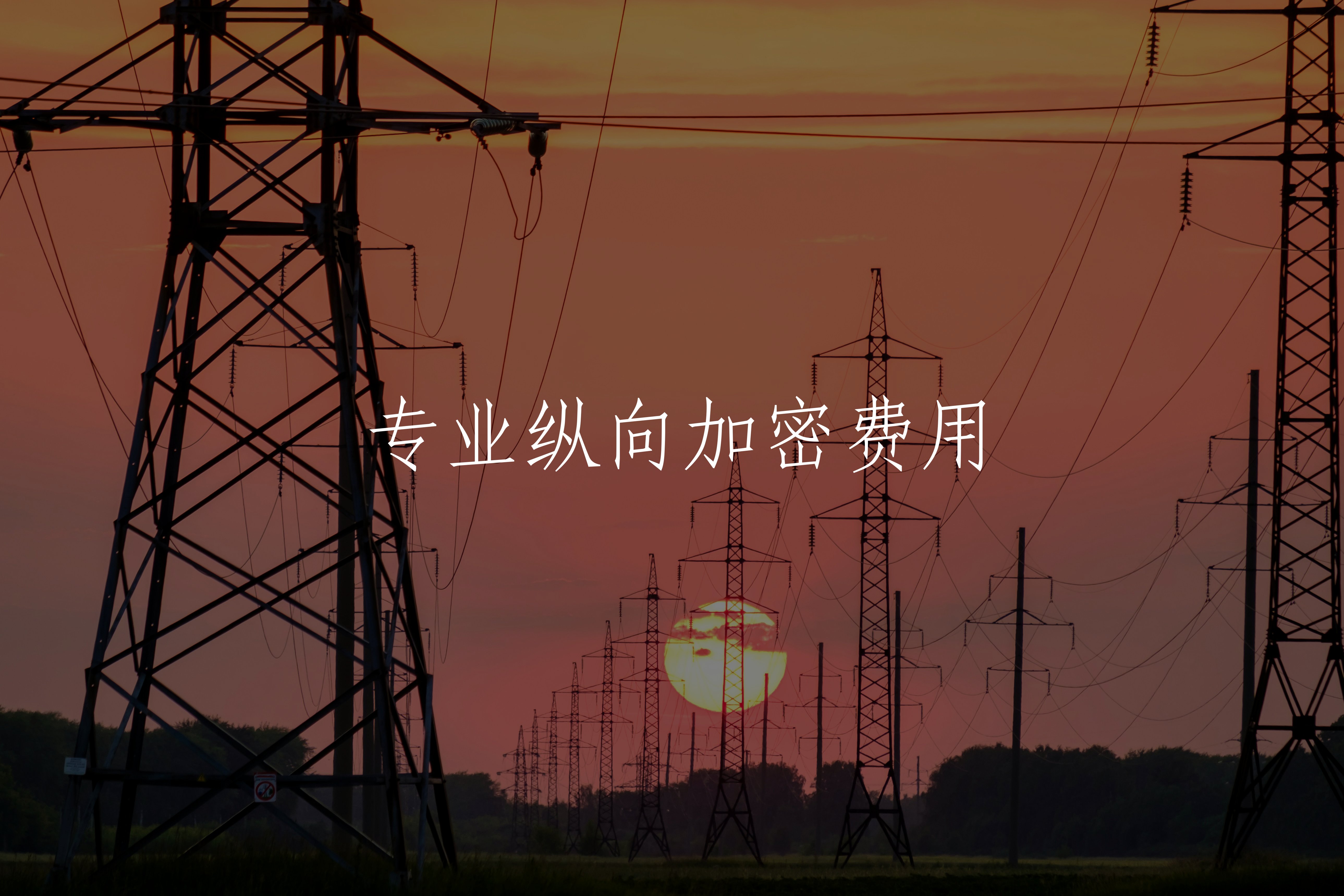 专业纵向加密费用 核心概念图