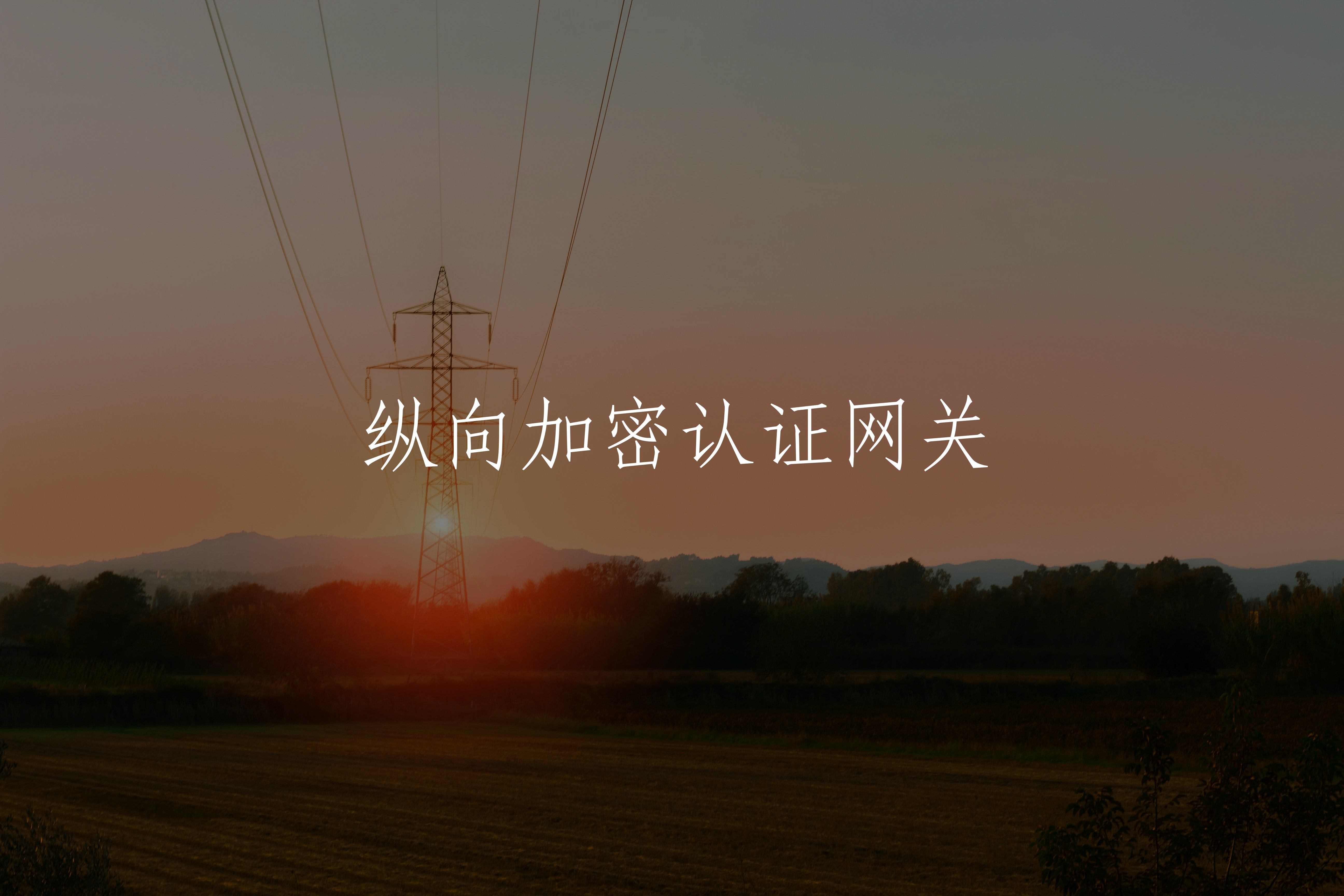 纵向加密认证网关 核心概念图