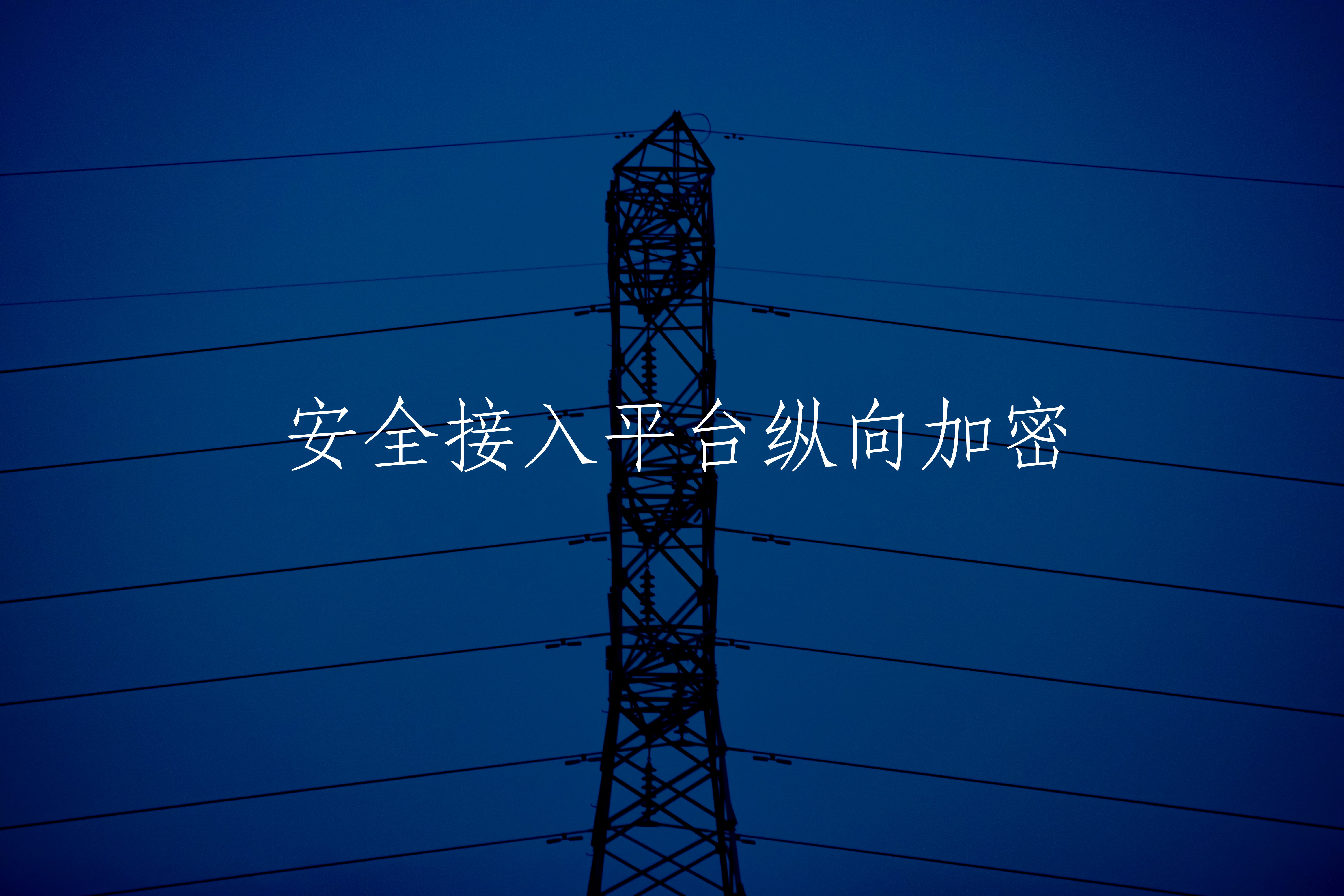 安全接入平台纵向加密 核心概念图