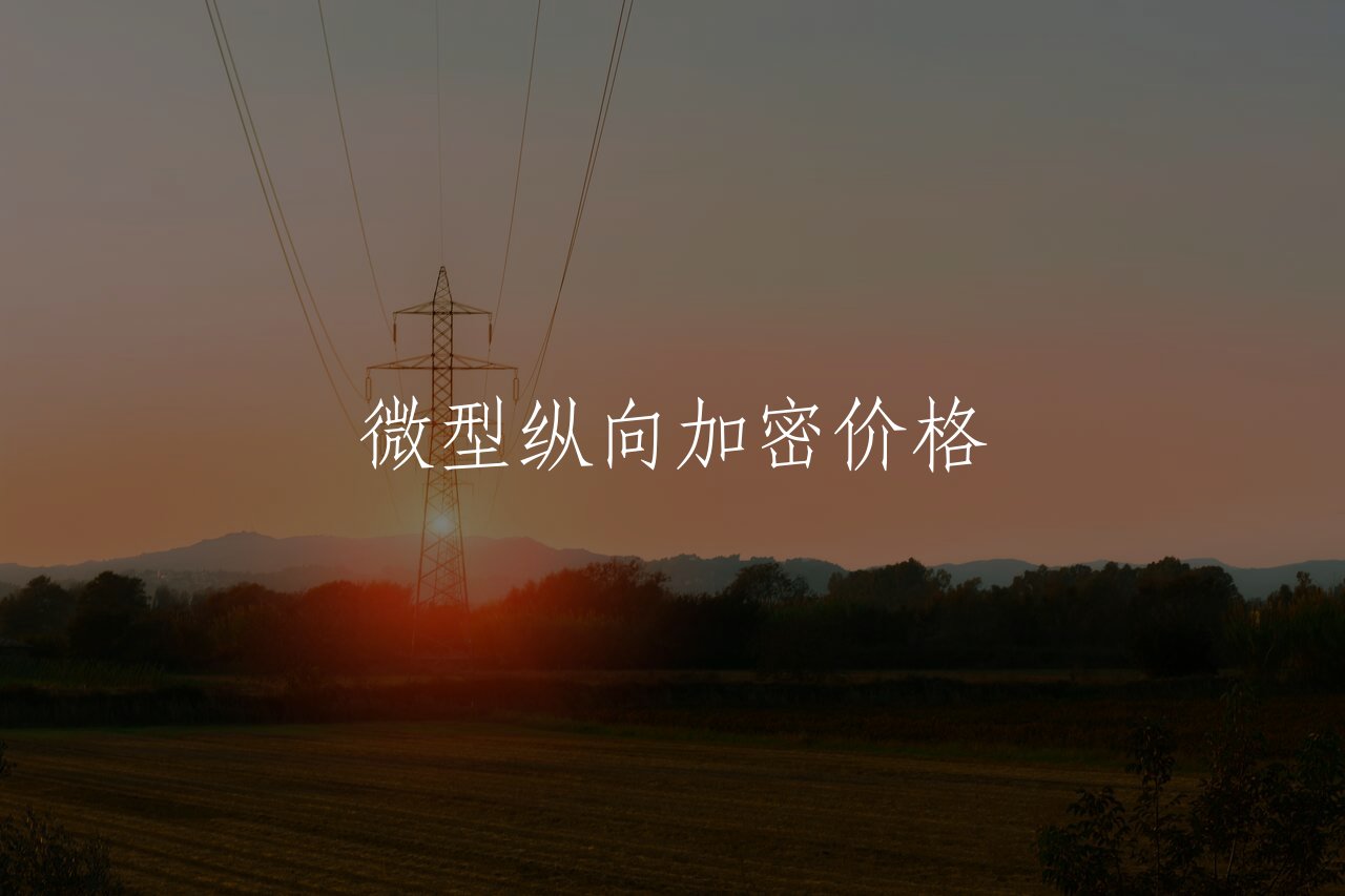 微型纵向加密价格 核心概念图