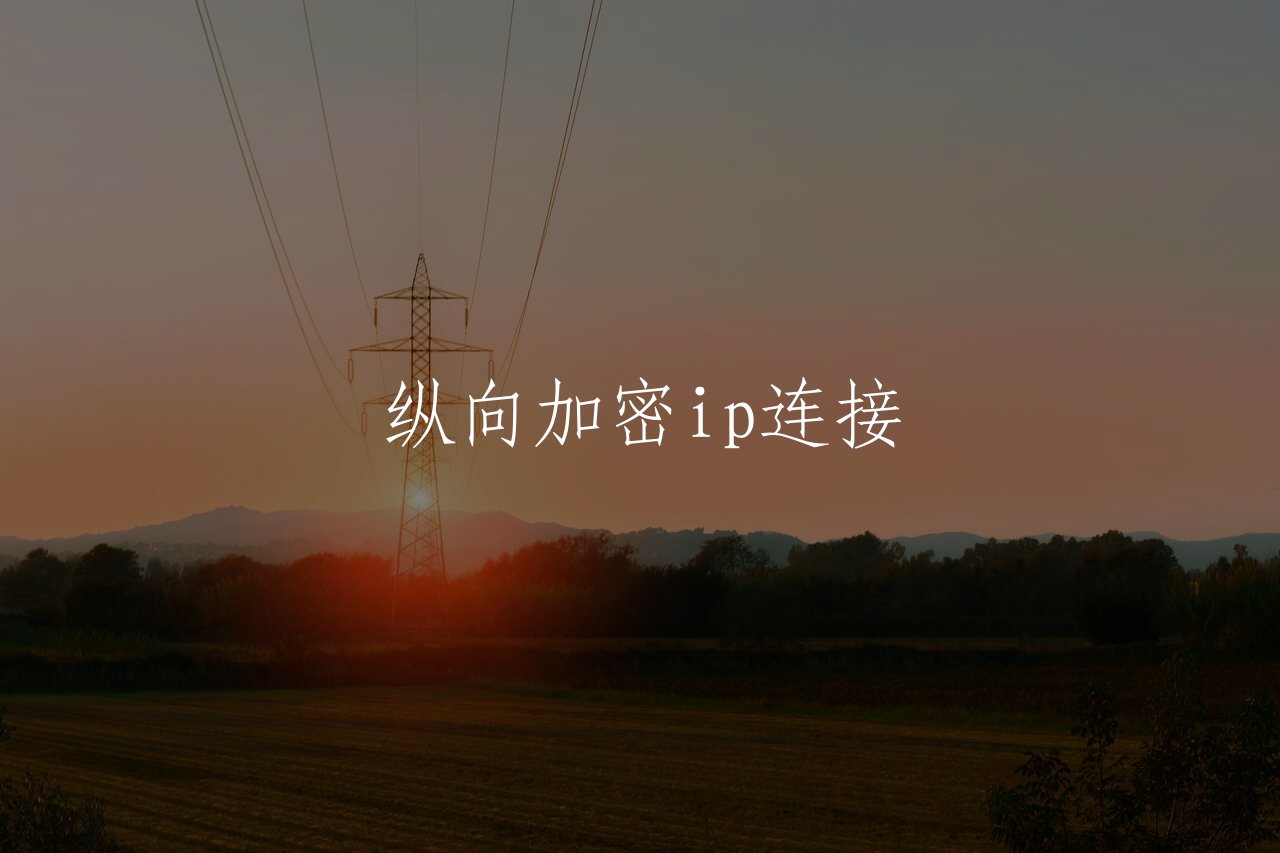 纵向加密ip连接 核心概念图