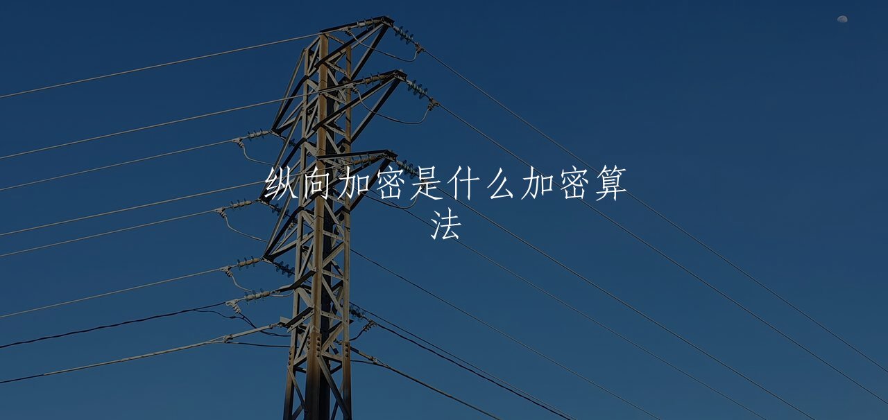 纵向加密是什么加密算法 核心概念图