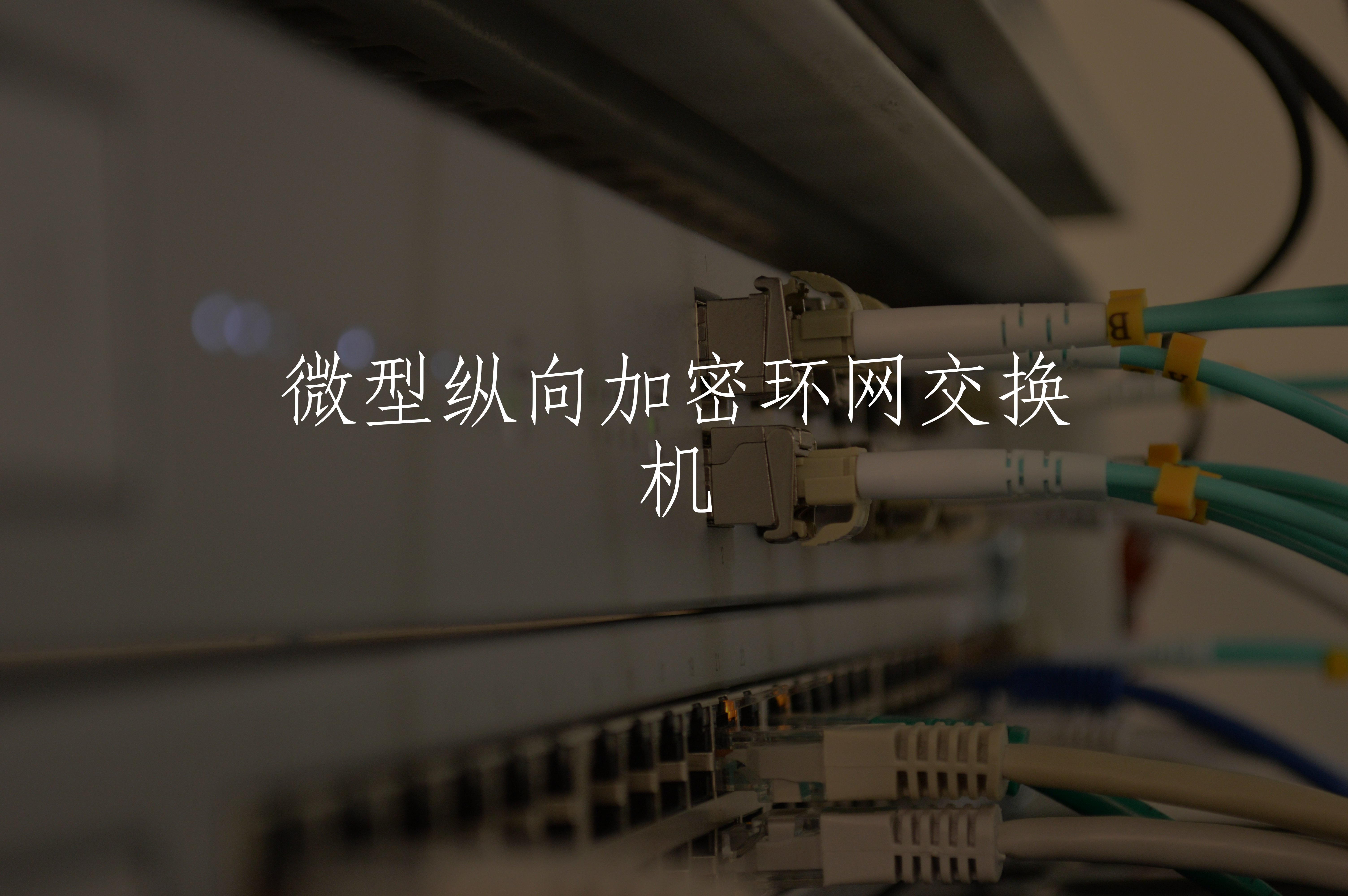 微型纵向加密环网交换机 核心概念图