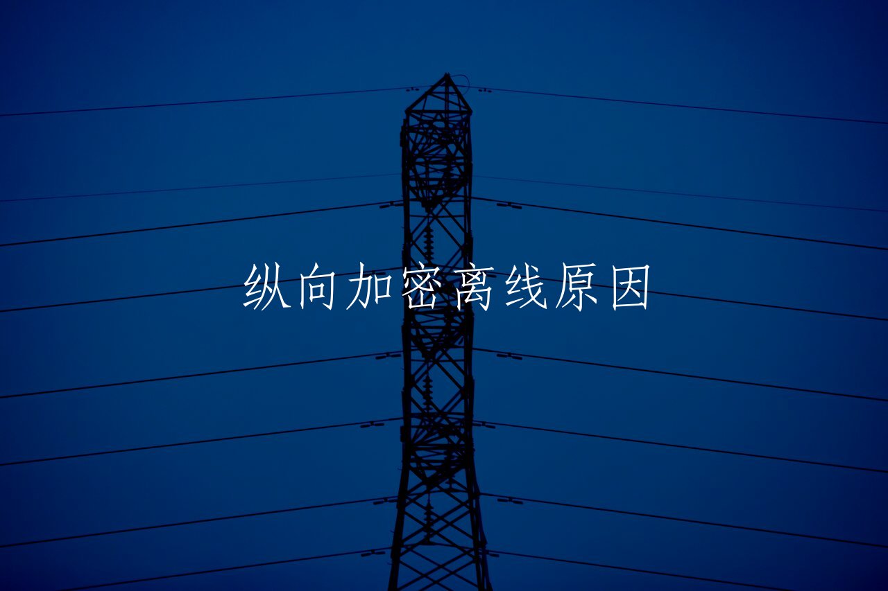 纵向加密离线原因 核心概念图