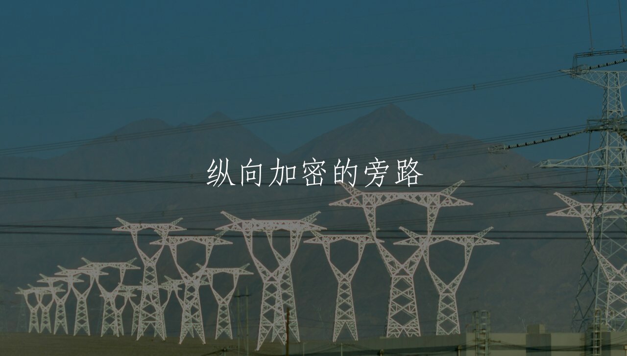 纵向加密的旁路 核心概念图