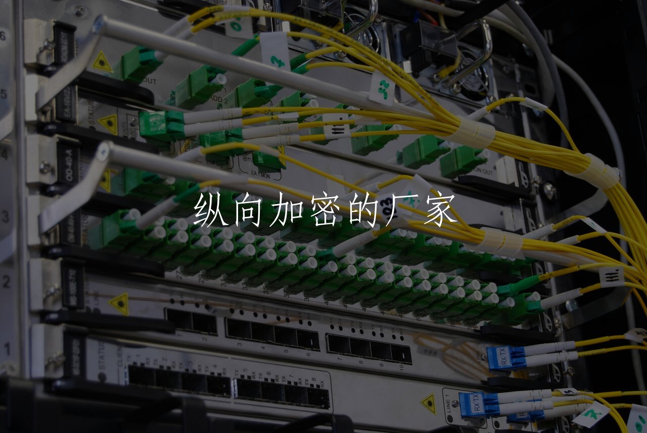 纵向加密的厂家 核心概念图