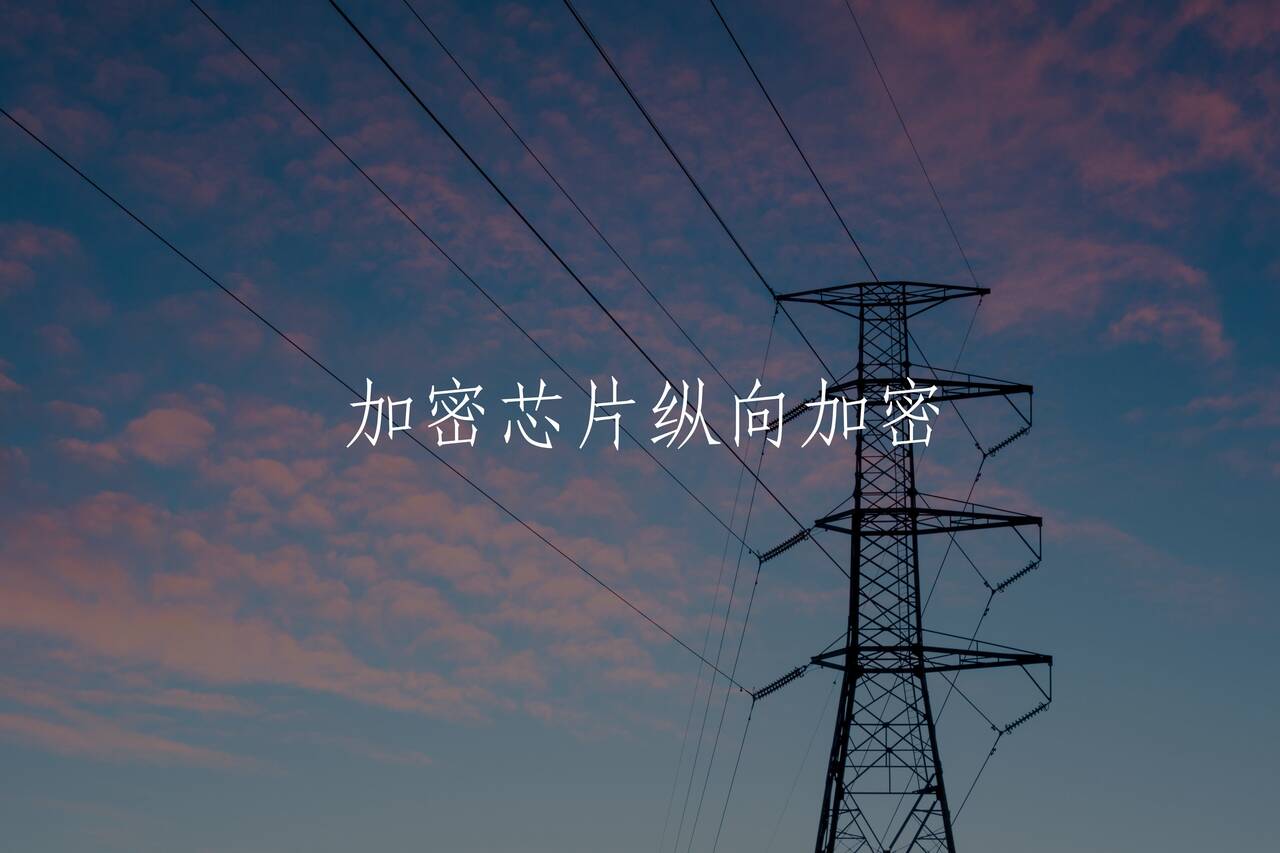 加密芯片纵向加密 核心概念图