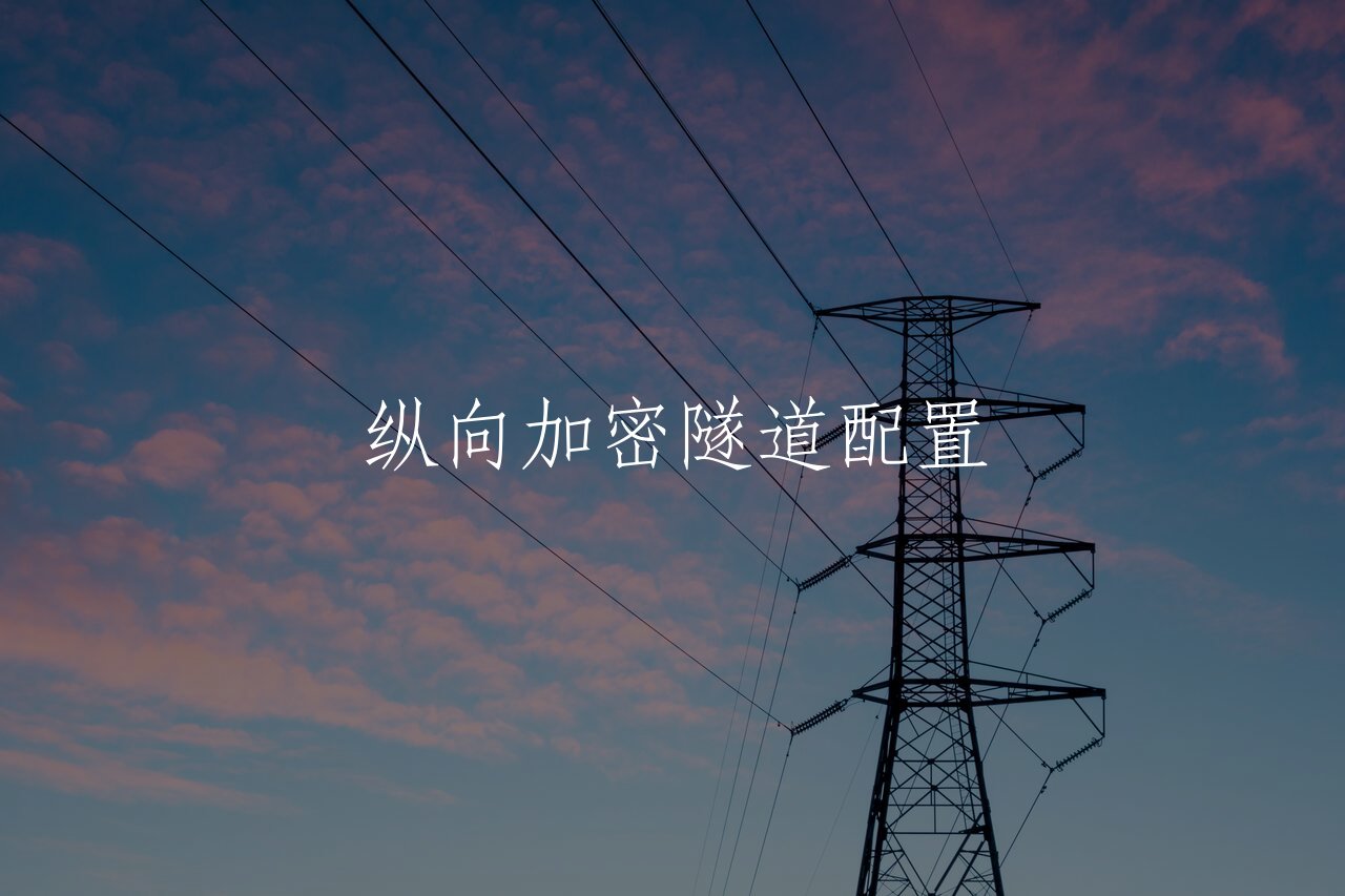 纵向加密隧道配置 核心概念图