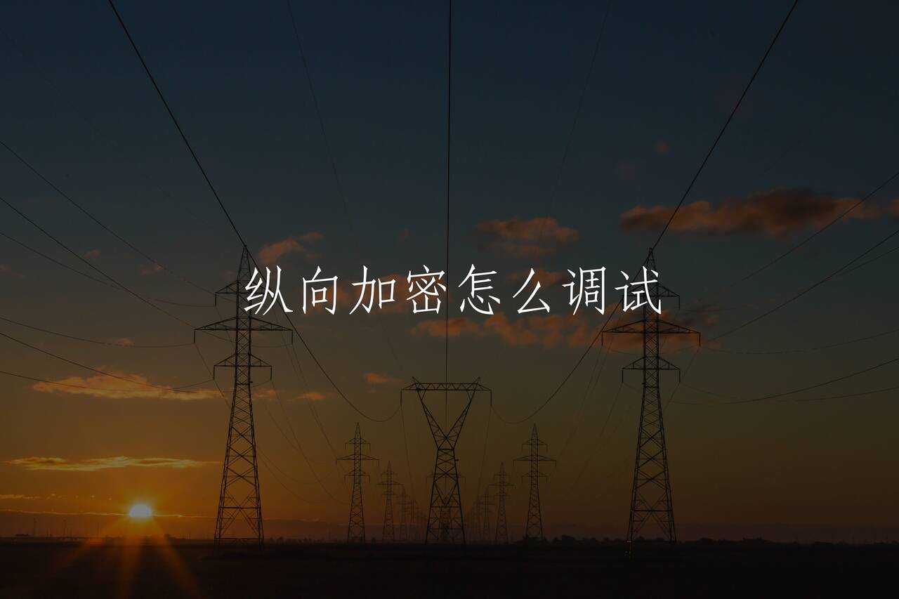 纵向加密怎么调试 核心概念图