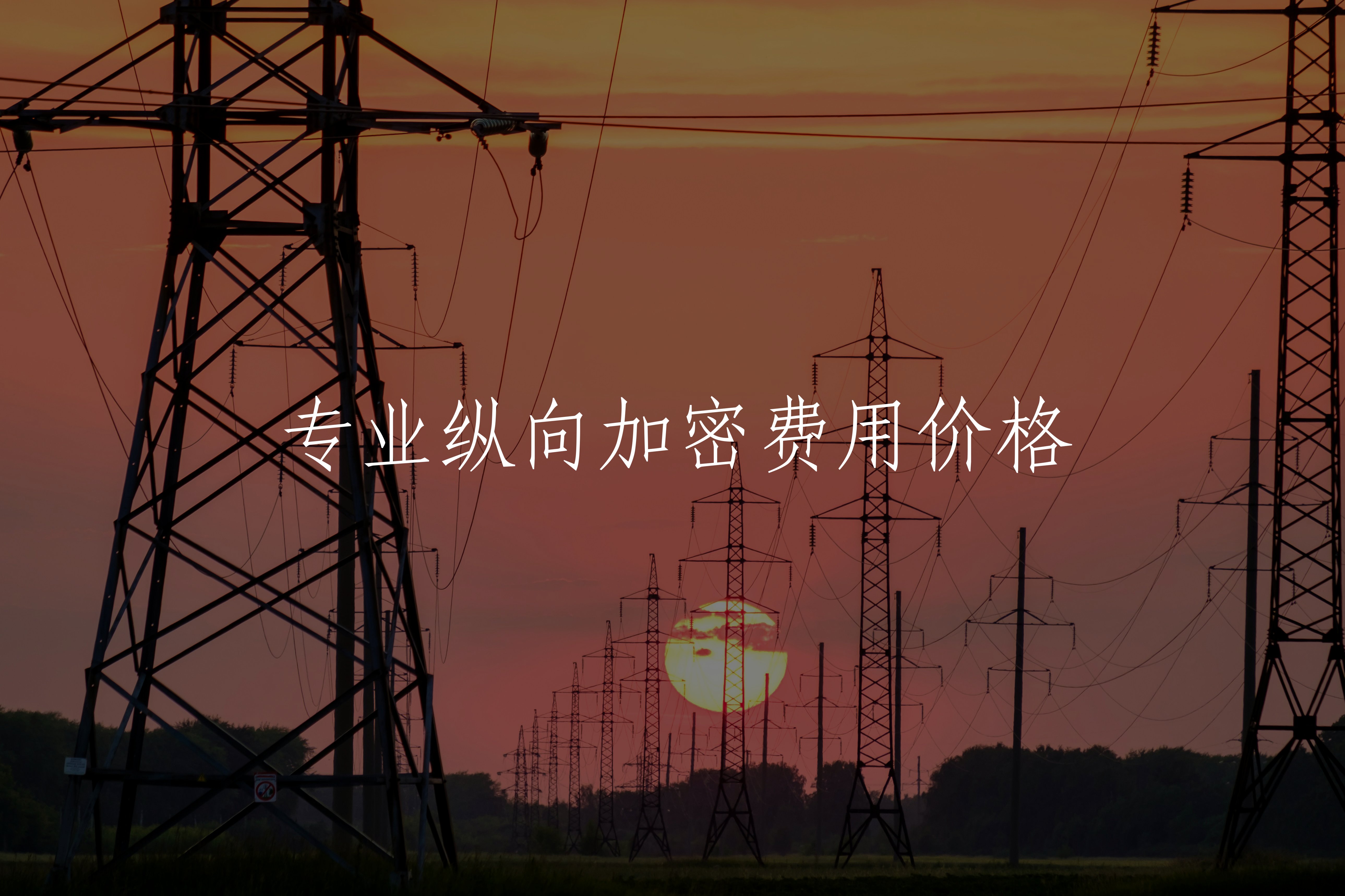 专业纵向加密费用价格 核心概念图