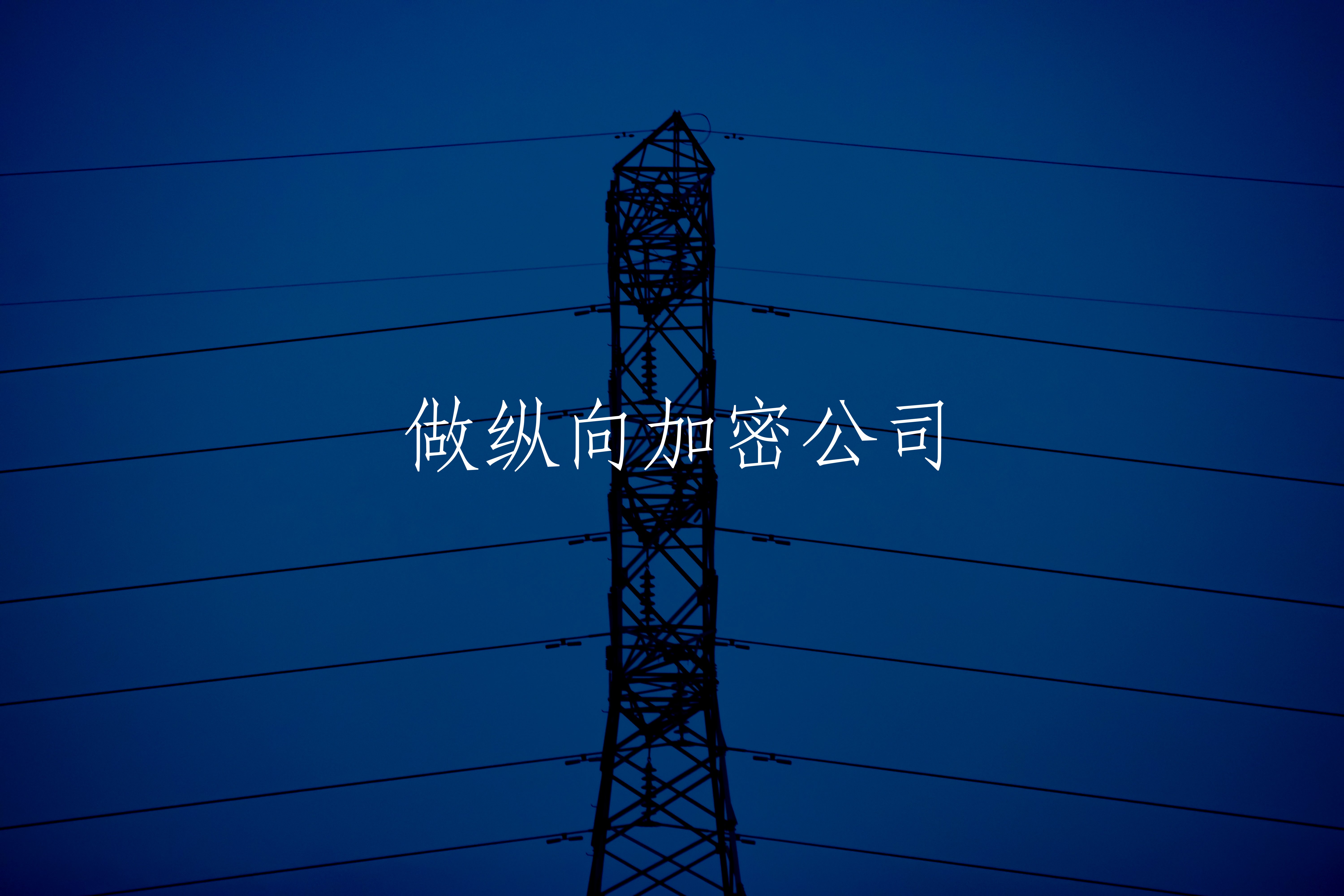 做纵向加密公司 核心概念图