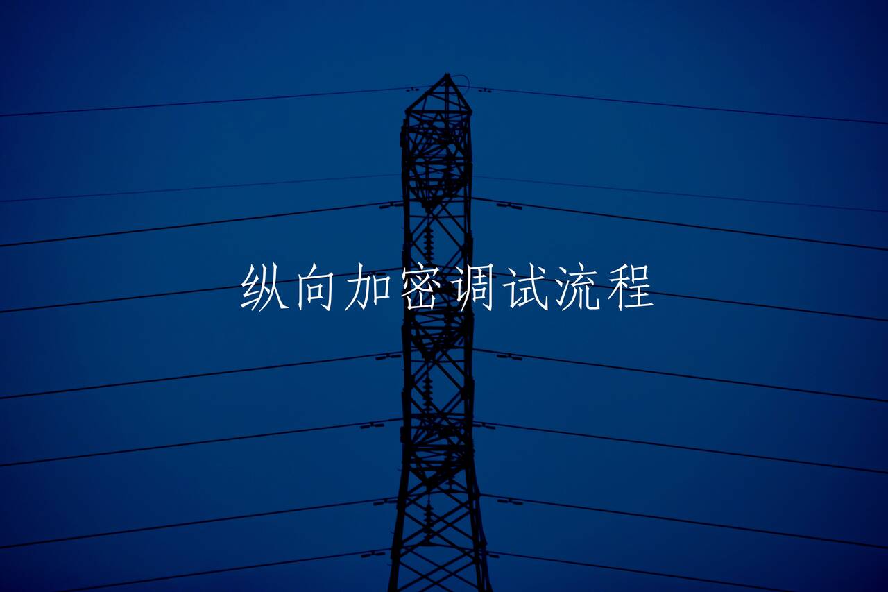 纵向加密调试流程 核心概念图