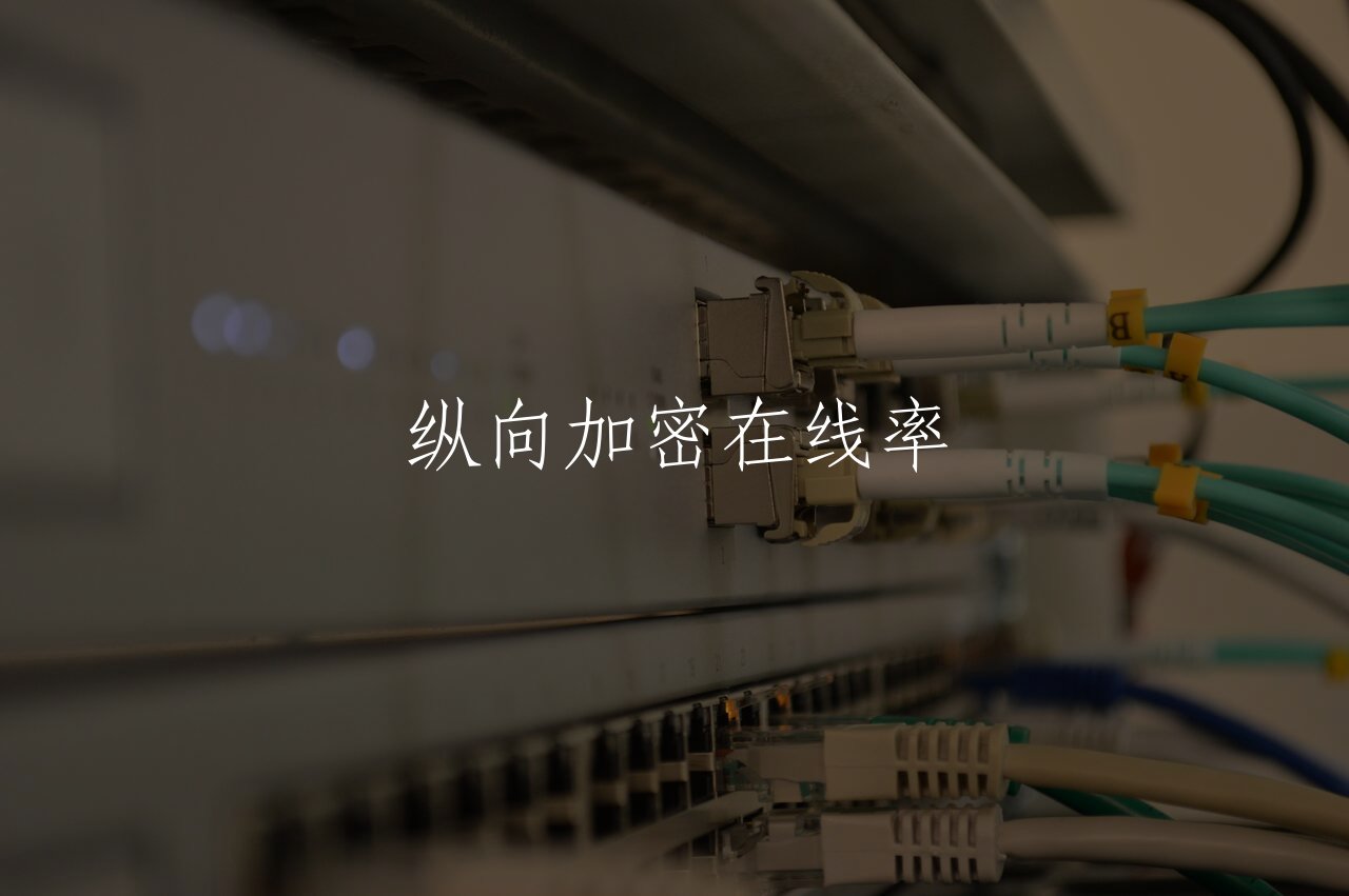 纵向加密在线率 核心概念图