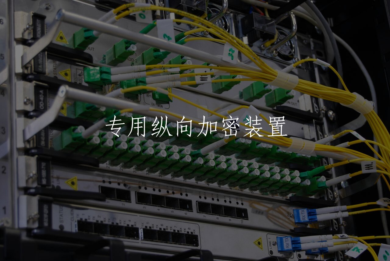 专用纵向加密装置 核心概念图