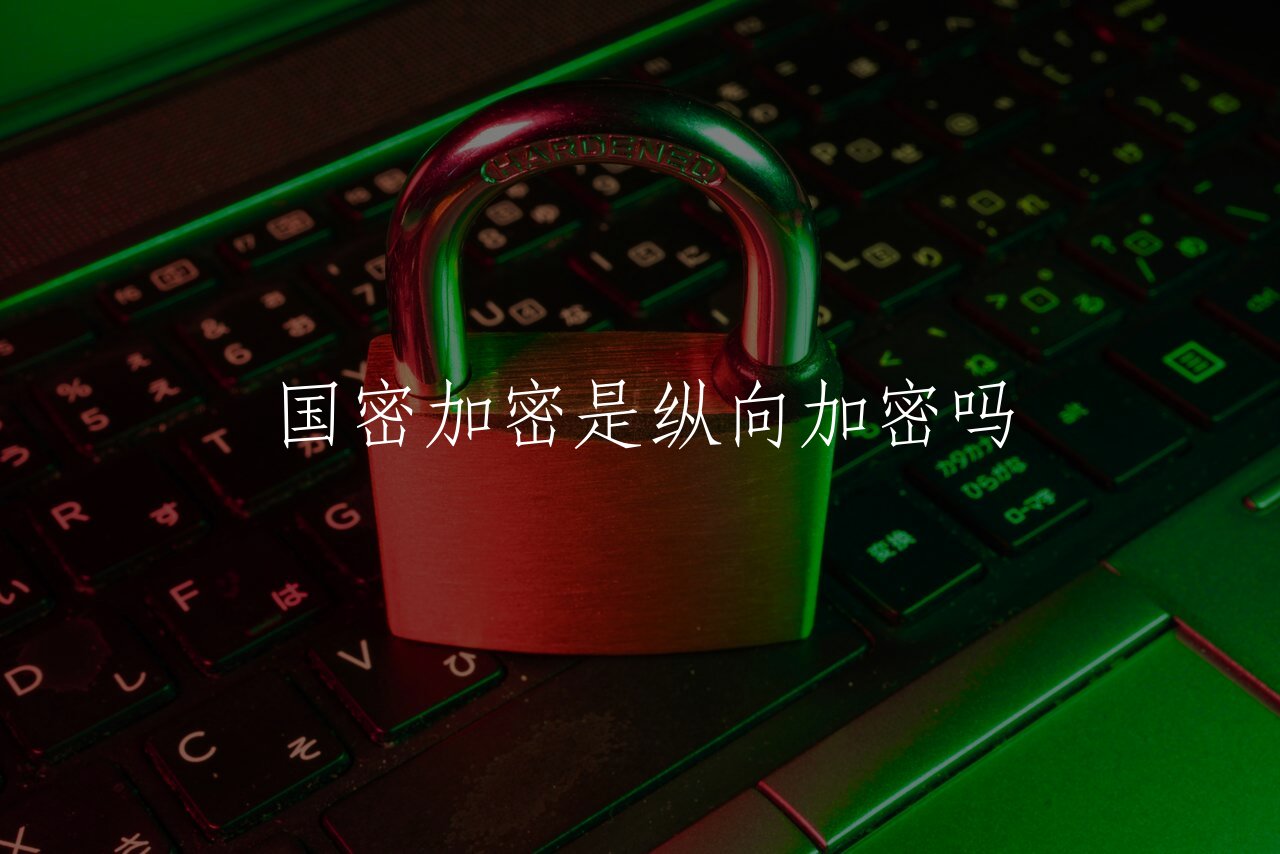 国密加密是纵向加密吗 核心概念图