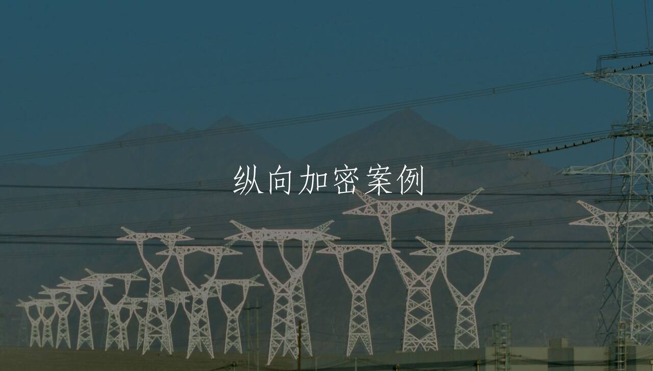 纵向加密案例 核心概念图