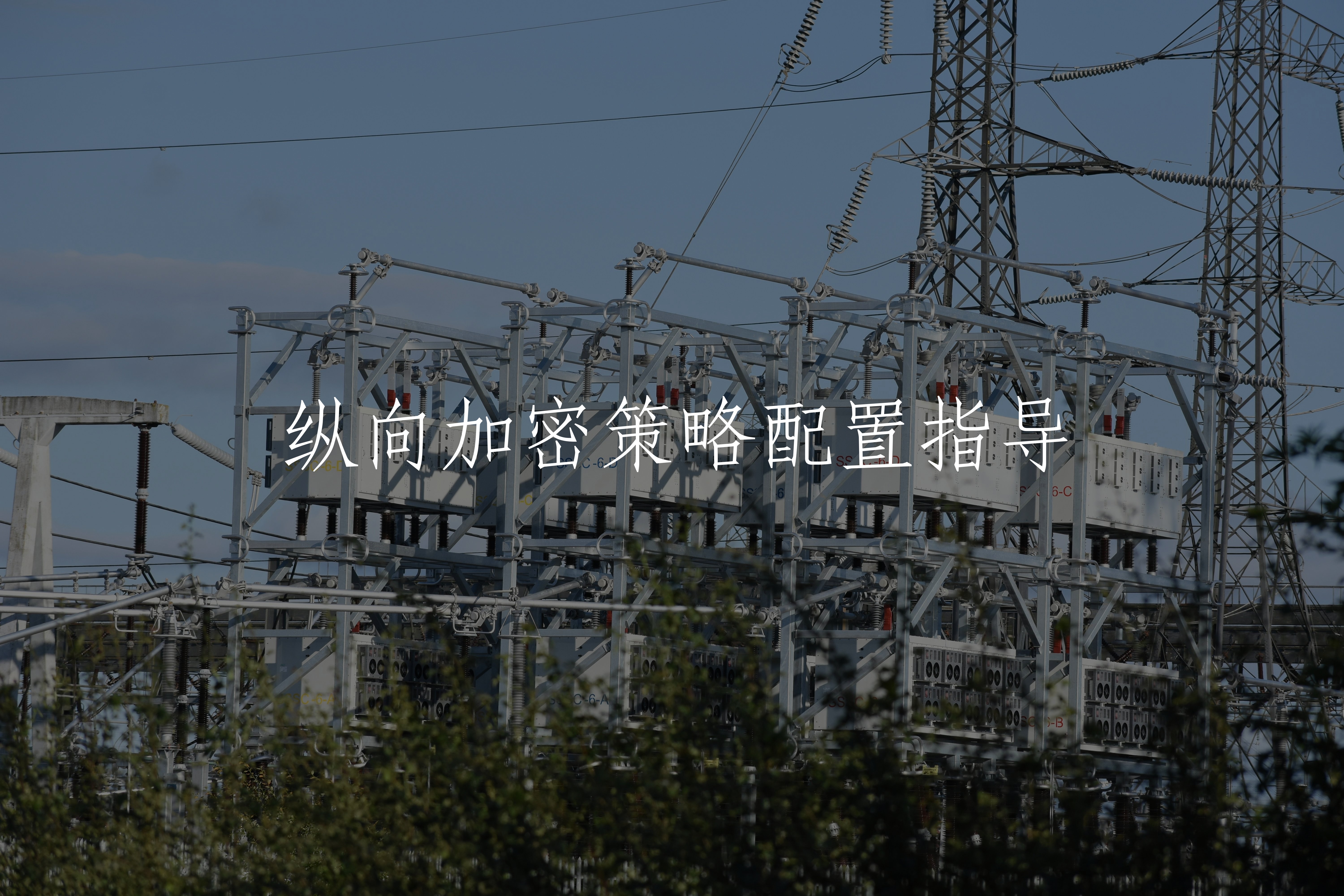 纵向加密策略配置指导 核心概念图