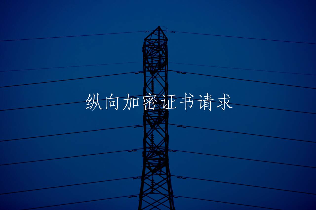 纵向加密证书请求 核心概念图