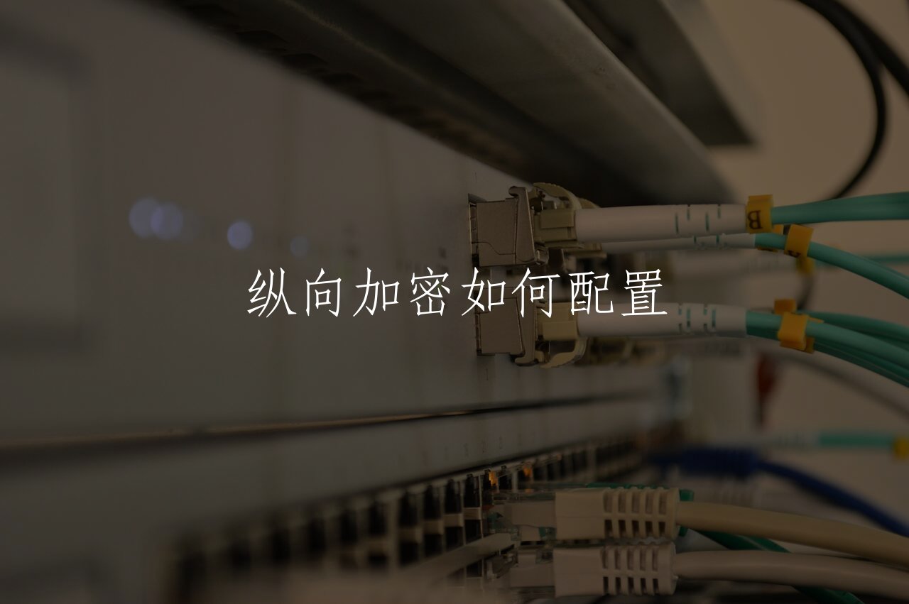 纵向加密如何配置 核心概念图