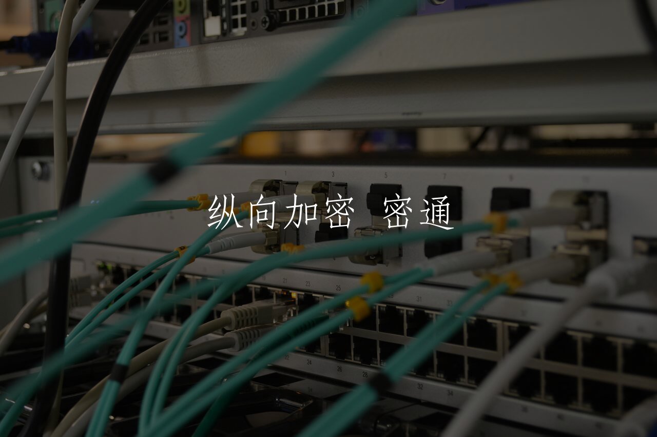 纵向加密 密通 核心概念图