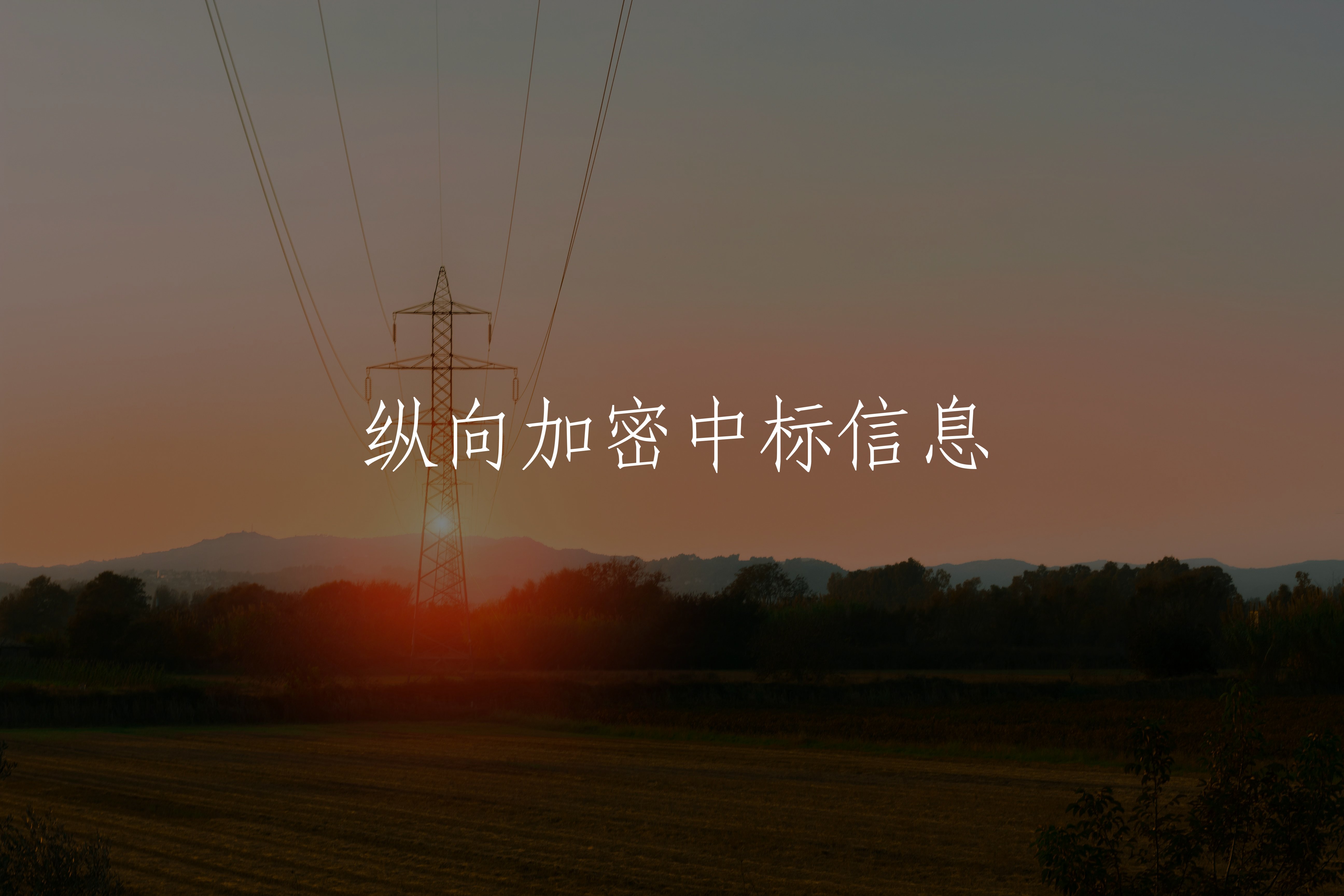 纵向加密中标信息 核心概念图