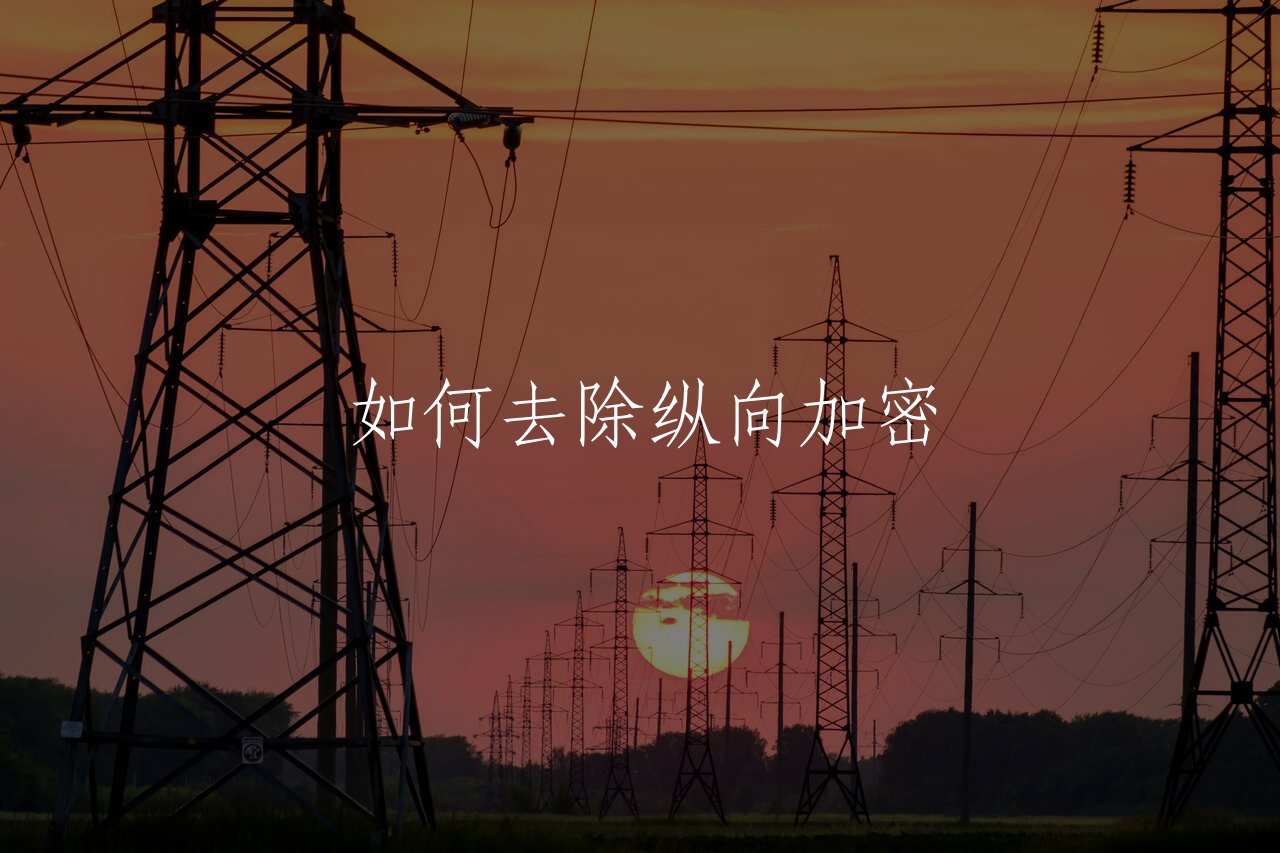 如何去除纵向加密 核心概念图