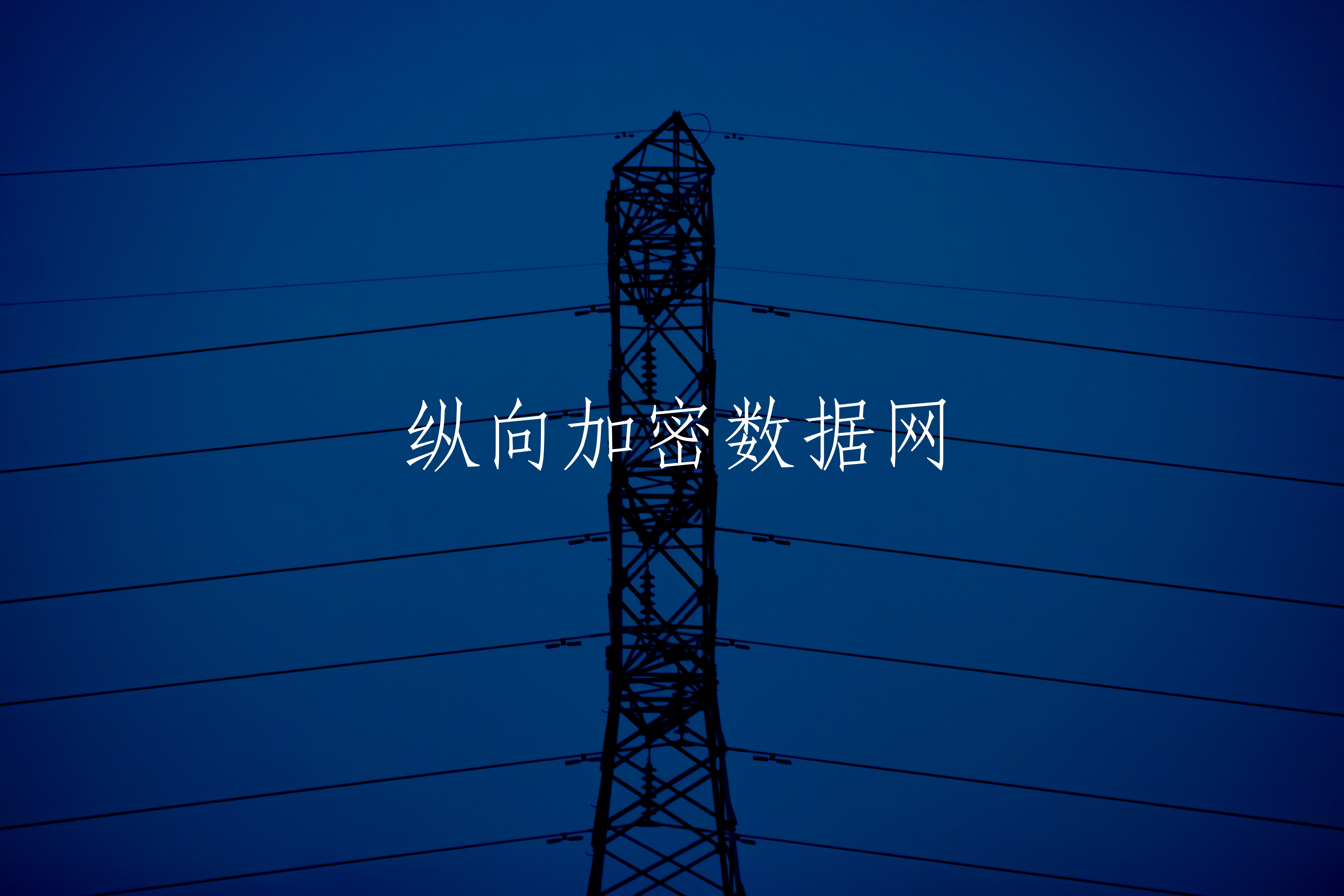 纵向加密数据网 核心概念图