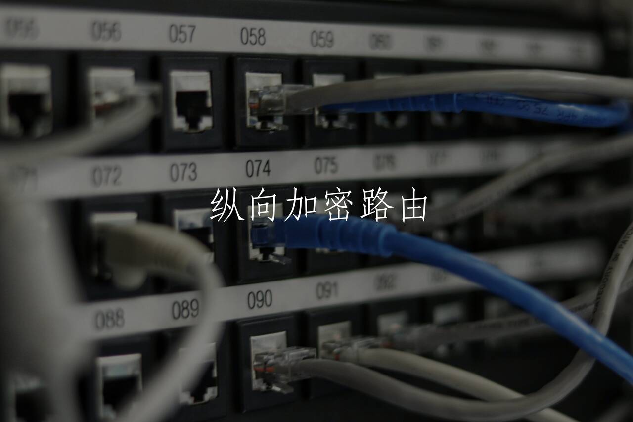 纵向加密路由 核心概念图