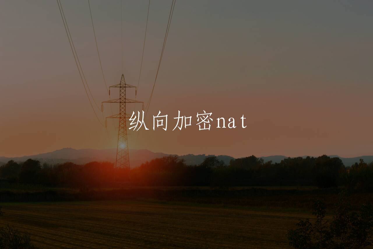 纵向加密nat 核心概念图