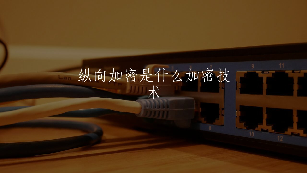 纵向加密是什么加密技术 核心概念图