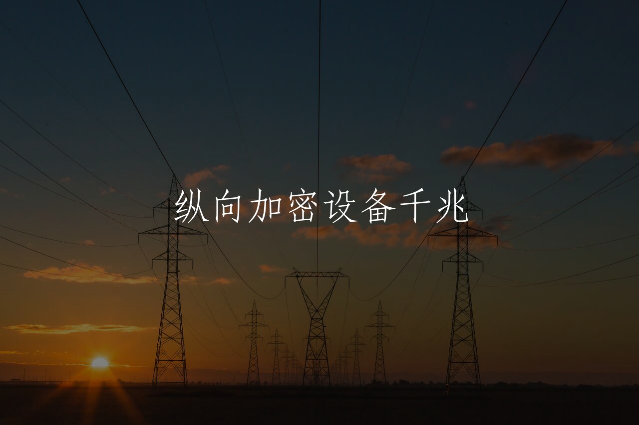纵向加密设备千兆 核心概念图