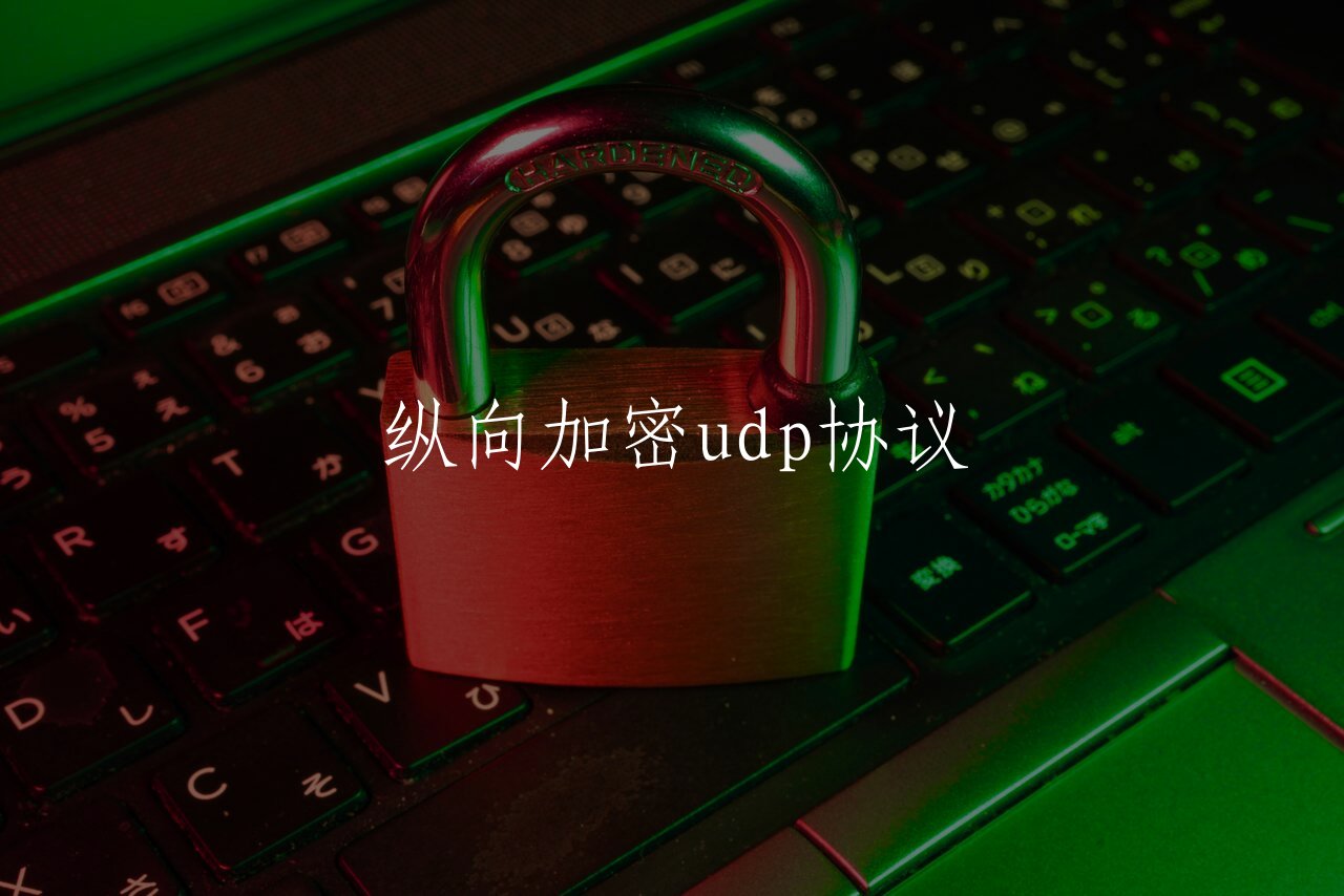 纵向加密udp协议 核心概念图