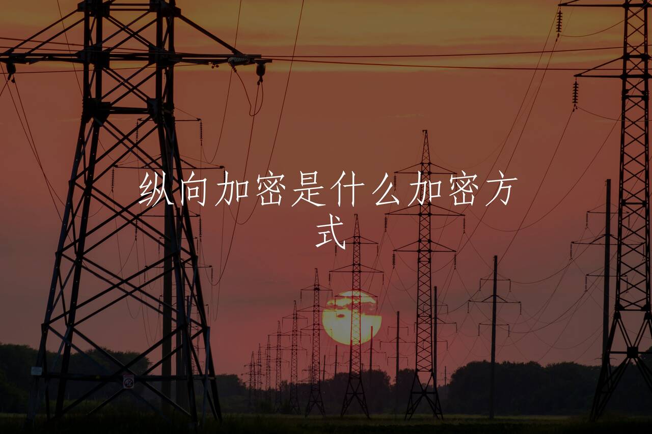 纵向加密是什么加密方式 核心概念图