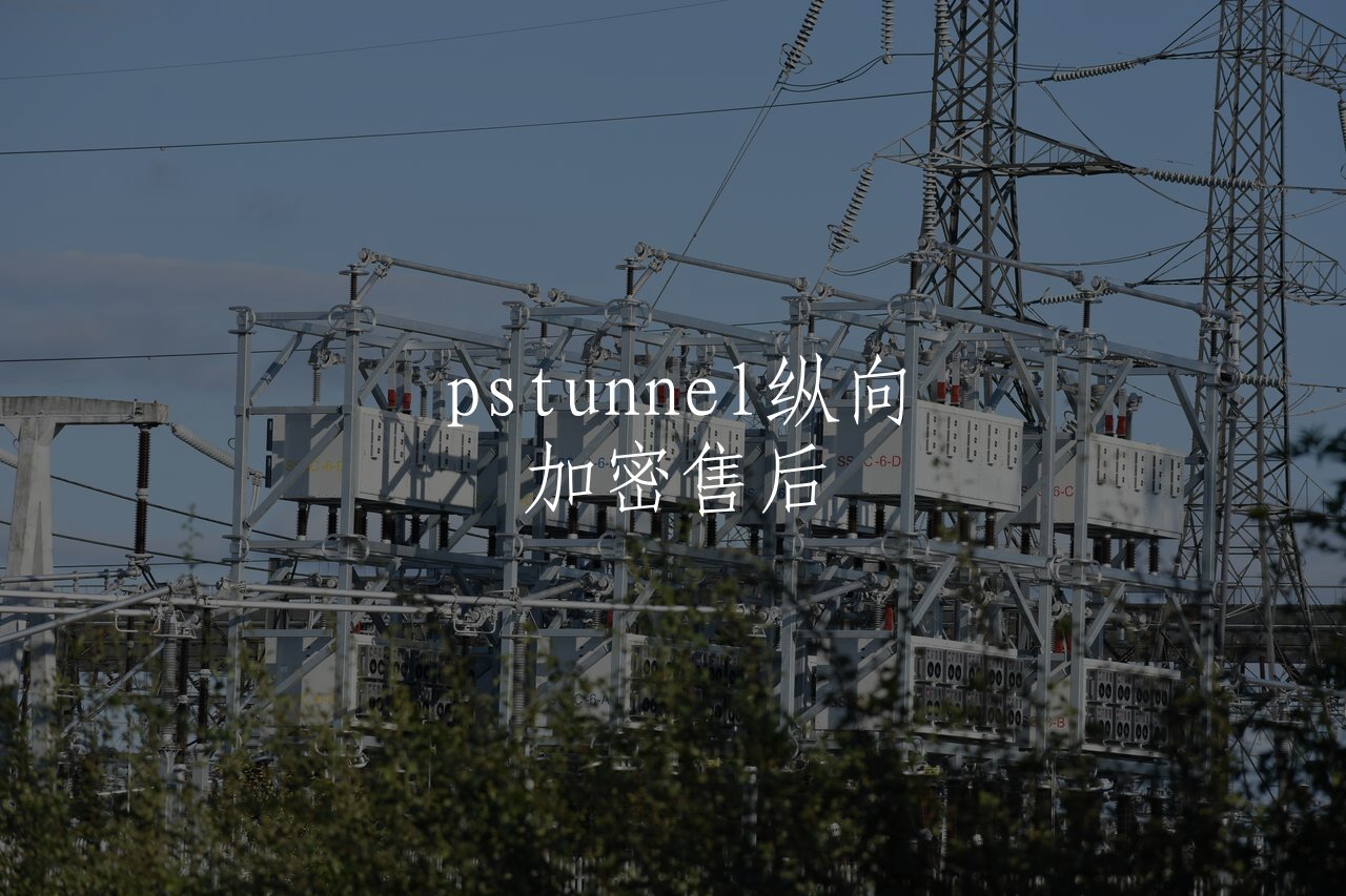 pstunnel纵向加密售后 核心概念图
