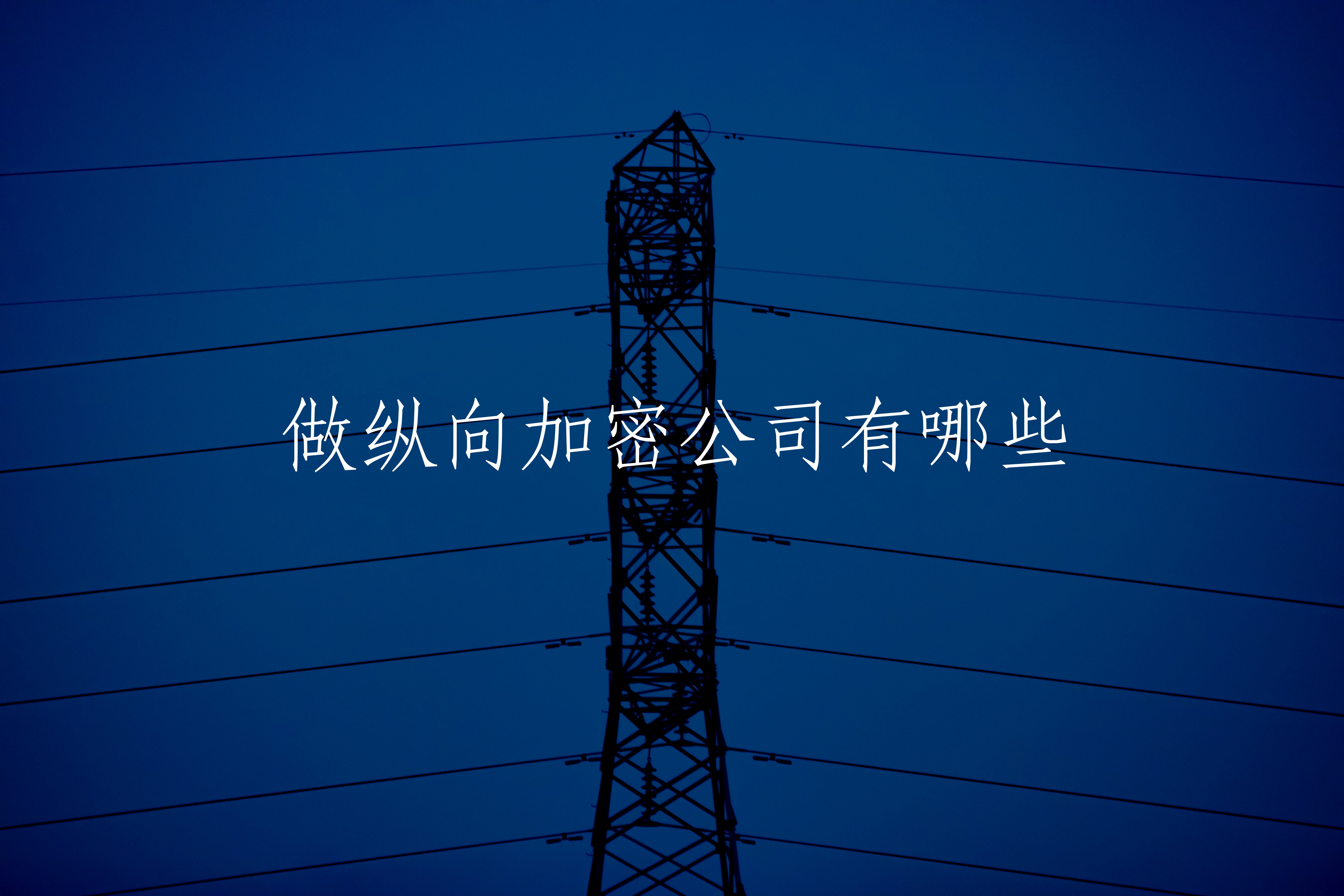 做纵向加密公司有哪些 核心概念图