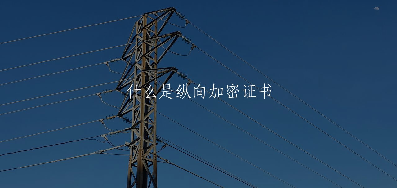 什么是纵向加密证书 核心概念图